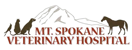Link to Homepage of Mt Spokane Veterinary Hospital