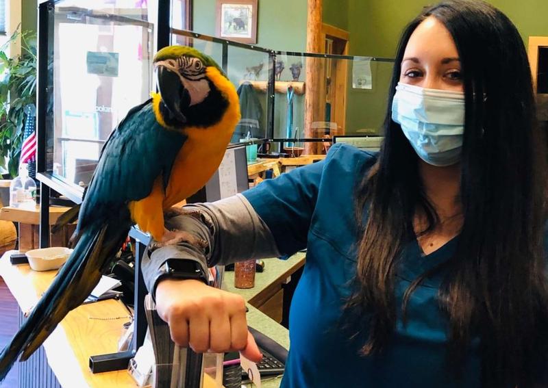 Carousel Slide 5: Avian pet care in North Spokane