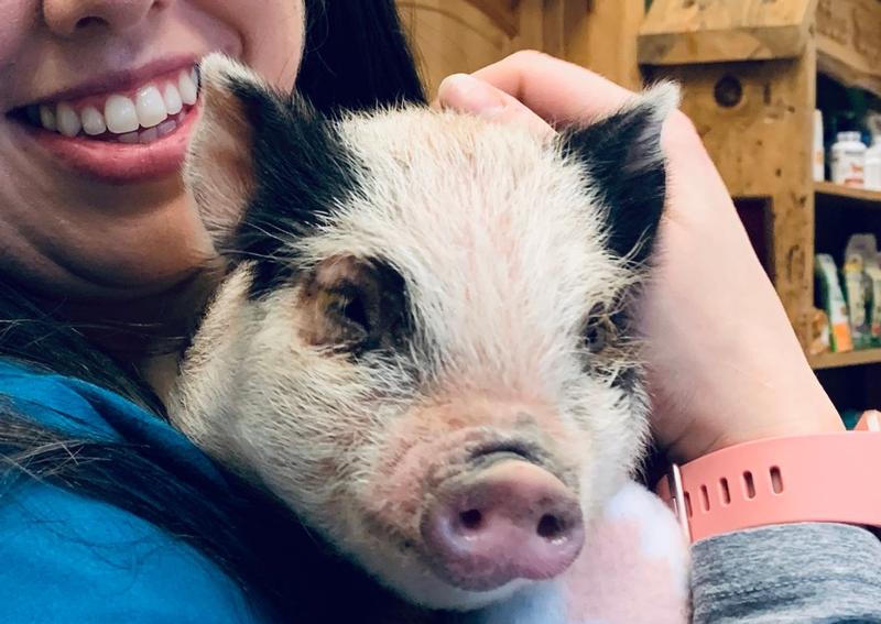 Carousel Slide 4: Exotics welcome! We see amphibians, reptiles, avian and exotic animals